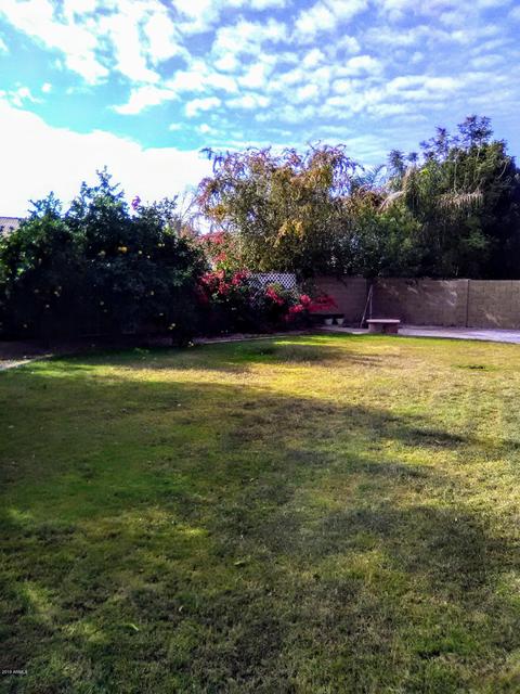 1533 E Bruce Ave, Gilbert, AZ 85234 photo 23