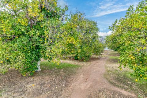 3741 E Huber St, Mesa, AZ 85205 photo 101