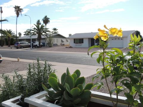 6324 E Billings St, Mesa, AZ 85205 photo 31