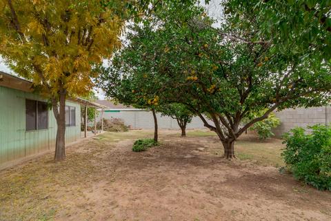 425 E 8th St, Mesa, AZ 85203 photo 23
