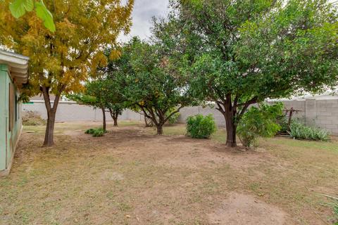 425 E 8th St, Mesa, AZ 85203 photo 21