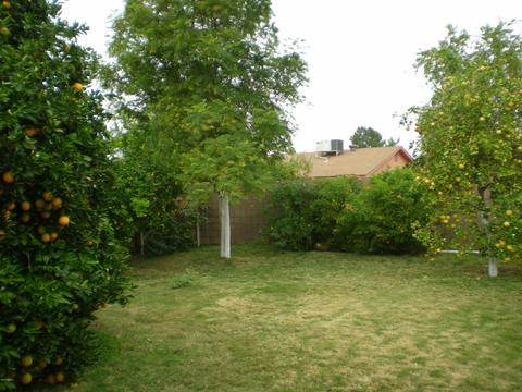 4202 W Pershing Ave, Phoenix, AZ 85029 photo 9