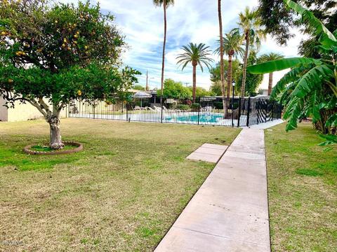 3294 E Camelback Rd, Phoenix, AZ 85018 photo 22