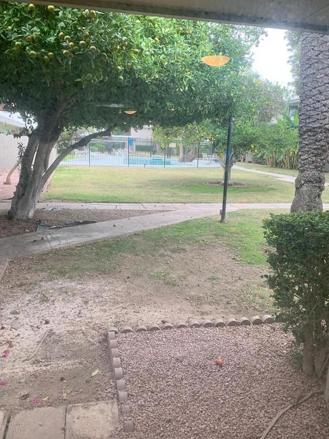 3294 E Camelback Rd, Phoenix, AZ 85018 photo 16