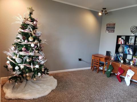 2201 E Dolphin Ave, Mesa, AZ 85204 photo 4