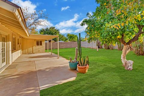 227 W Alice Ave, Phoenix, AZ 85021 photo 27