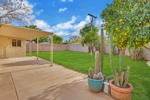 227 W Alice Ave, Phoenix, AZ 85021 photo 23