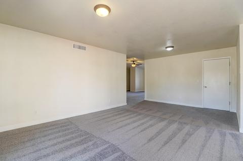 1117 S Mara Dr, Apache Junction, AZ 85120 photo 10