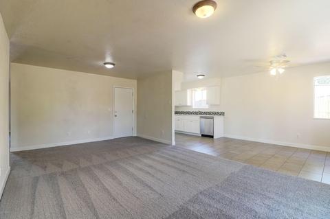 1117 S Mara Dr, Apache Junction, AZ 85120 photo 11