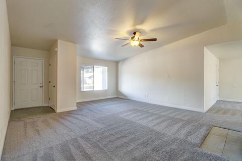 1117 S Mara Dr, Apache Junction, AZ 85120 photo 5