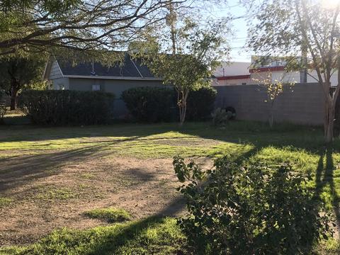 17 E Townley Ave, Phoenix, AZ 85020 photo 8