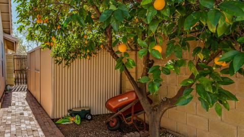 4202 E Karen Dr, Phoenix, AZ 85032 photo 34