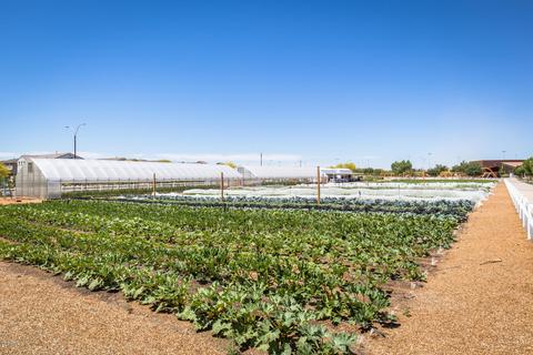 4864 S Tune --, Mesa, AZ 85212 photo 38