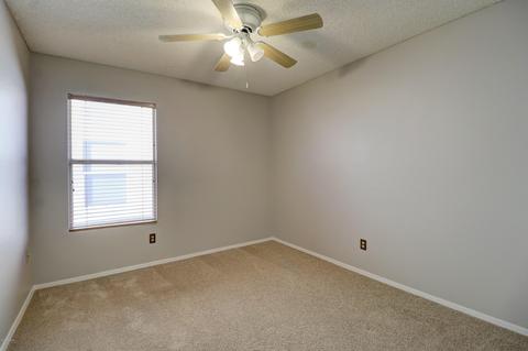 3407 E Sequoia Dr, Phoenix, AZ 85050 photo 18