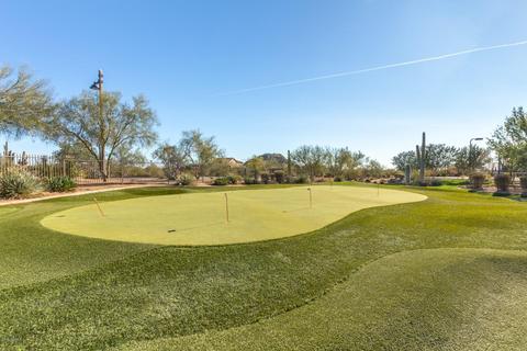 8421 E Leonora St, Mesa, AZ 85207 photo 58