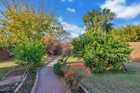 3142 E Sierra St, Phoenix, AZ 85028 photo 22