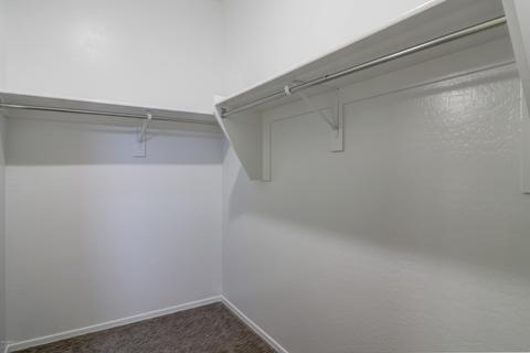 31003 W Mitchell Dr, Buckeye, AZ 85396 photo 51