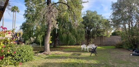 4041 E Becker Ln, Phoenix, AZ 85028 photo 8