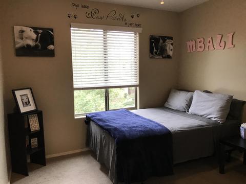 3878 E Claxton Ave, Gilbert, AZ 85297 photo 18
