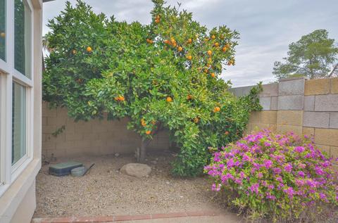 4569 E Mcneil St, Phoenix, AZ 85044 photo 23