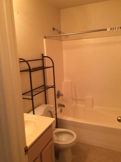 1915 E Palomino Dr, Gilbert, AZ 85296 photo 17
