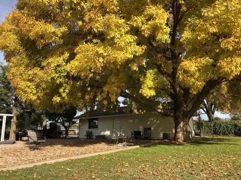 2925 E Houston Ave, Gilbert, AZ 85234 photo 11
