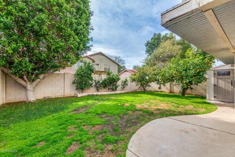 3749 E Taro Ln, Phoenix, AZ 85050 photo 20