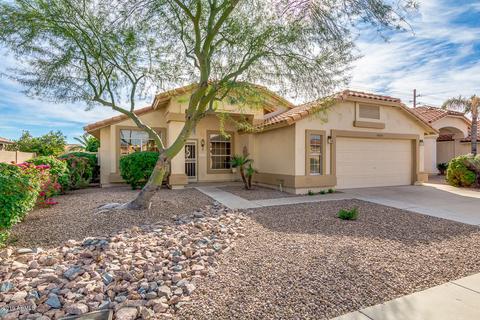 15005 S 46th Pl, Phoenix, AZ 85044 photo 6