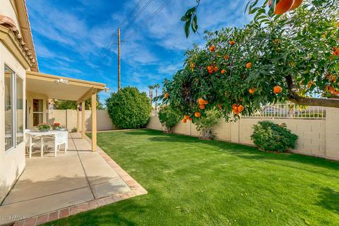 15005 S 46th Pl, Phoenix, AZ 85044 photo 10
