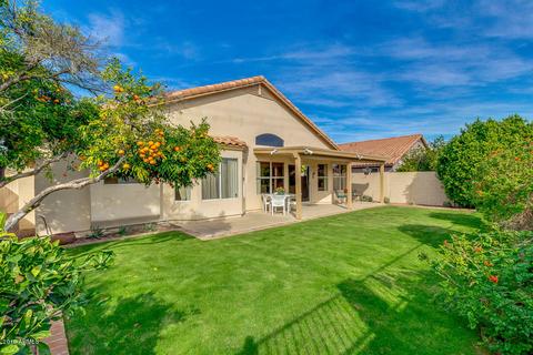 15005 S 46th Pl, Phoenix, AZ 85044 photo 13
