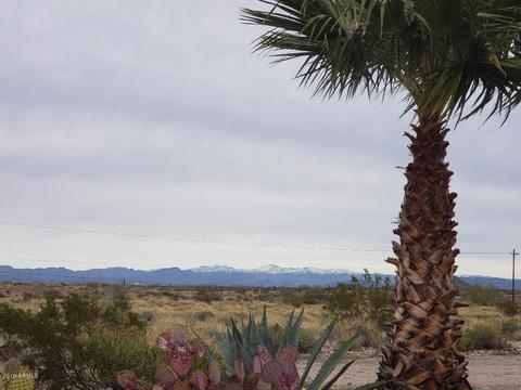 314 E Lancaster Ct, Florence, AZ 85132 photo 22