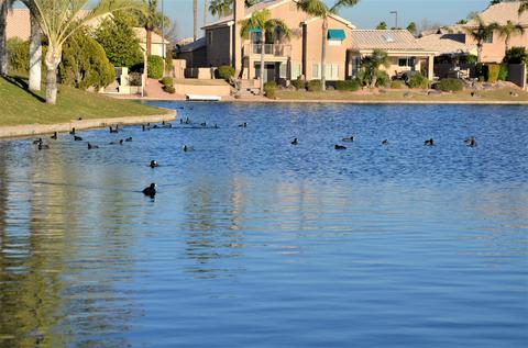 837 W Shellfish Dr, Gilbert, AZ 85233 photo 24