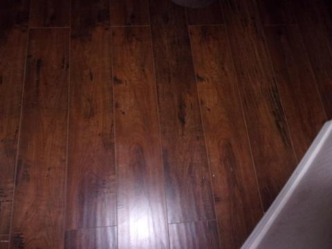1931 E Shannon St, Gilbert, AZ 85295 photo 17