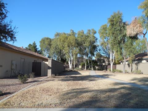 4580 E Murrieta Rd, Gilbert, AZ 85297 photo 3
