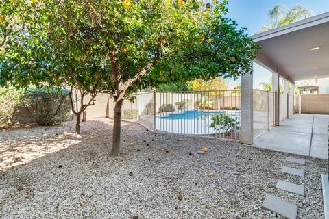 580 E Betsy Ln, Gilbert, AZ 85296 photo 32