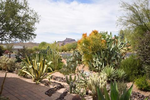 7049 E Summit Trail St, Mesa, AZ 85207 photo 64