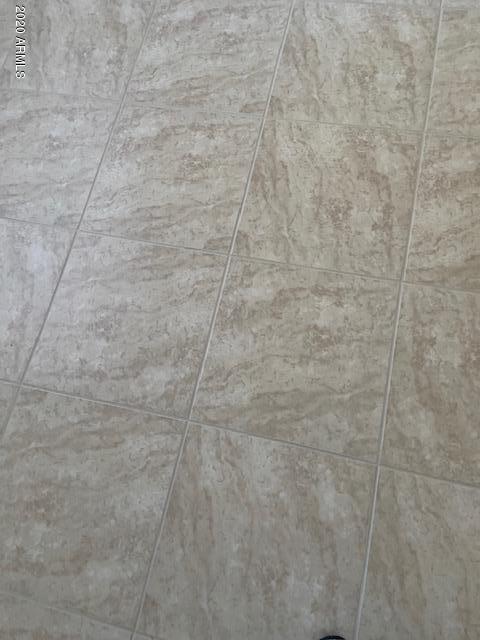 1395 W Mesquite Ave, Apache Junction, AZ 85120 photo 19
