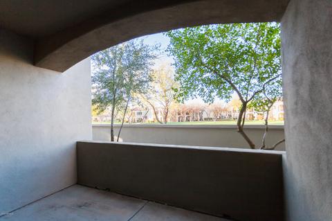 3131 E Legacy Dr #1003, Phoenix, AZ 85042 photo 13