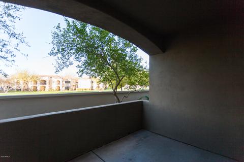 3131 E Legacy Dr #1003, Phoenix, AZ 85042 photo 14