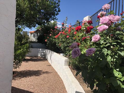 1321 E Mesquite St, Globe, AZ 85501 photo 21