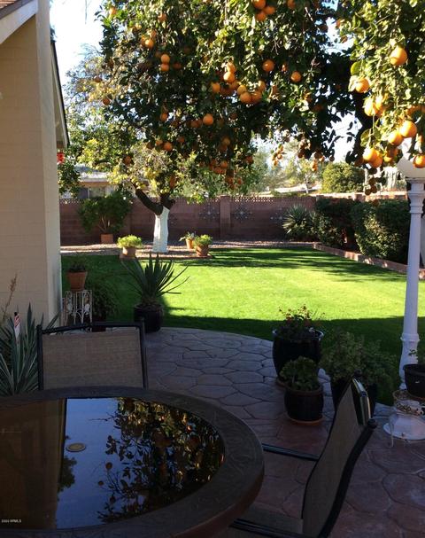 1538 W Lamar Rd, Phoenix, AZ 85015 photo 29