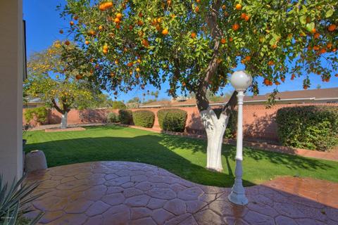 1538 W Lamar Rd, Phoenix, AZ 85015 photo 26