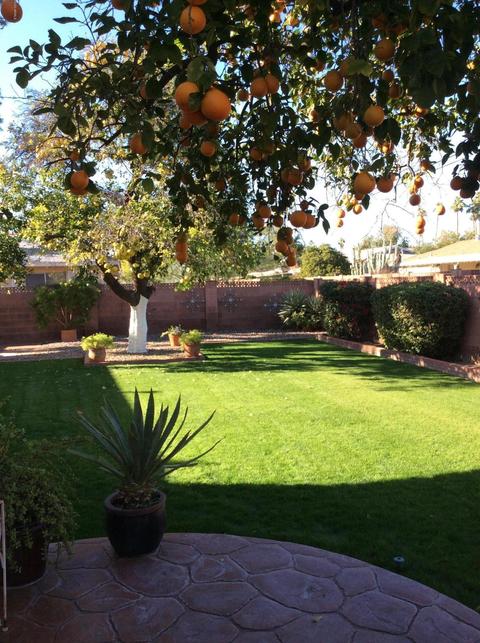 1538 W Lamar Rd, Phoenix, AZ 85015 photo 24