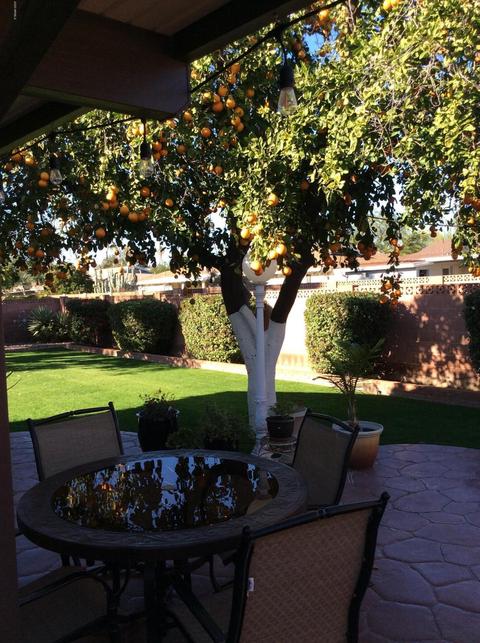 1538 W Lamar Rd, Phoenix, AZ 85015 photo 28
