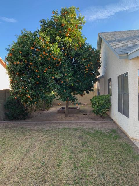 3022 E Laurel St, Mesa, AZ 85213 photo 2