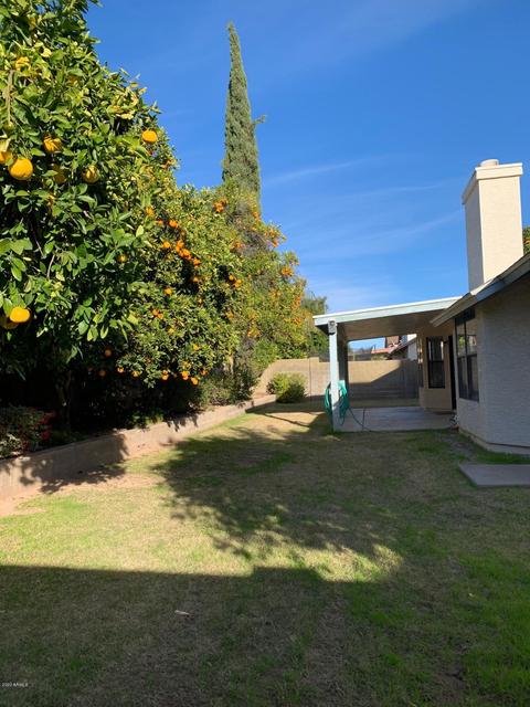 3022 E Laurel St, Mesa, AZ 85213 photo 4