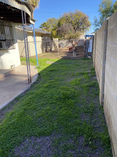 454 E Kimball Ave, Mesa, AZ 85204 photo 15