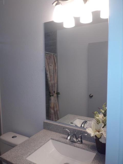 2917 E Piute Ave, Phoenix, AZ 85050 photo 22
