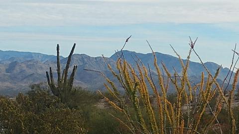 40901 Harquahala Rd, Salome, AZ 85348 photo 22