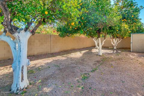 3352 E June Cir, Mesa, AZ 85213 photo 56